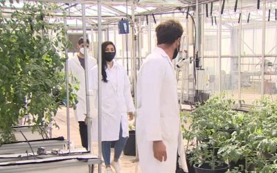 El campo necesita ingenieros agrónomos