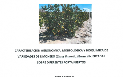 Defensa pública de la Tesis Doctoral de Dña. Marlene Gladys Aguilar Hernández