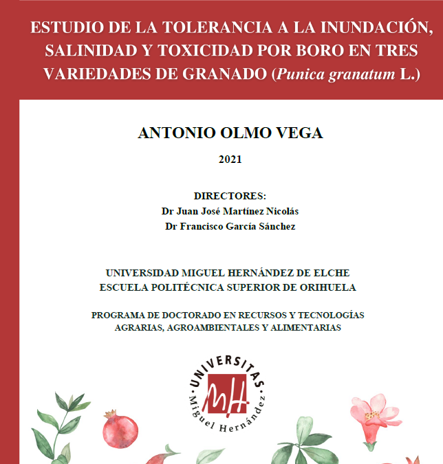 (Español) Defensa pública de la Tesis Doctoral de D. Antonio Olmo Vega