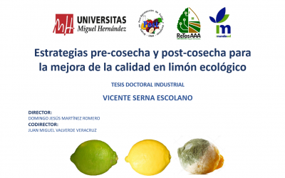 Defensa pública de la Tesis Doctoral de D. Vicente Serna Escolano