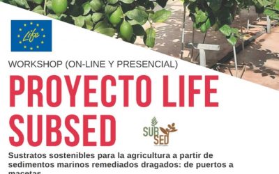 [:es]Sedimentos marinos para el cultivo de frutales[:]