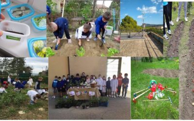 [:es]Un proyecto de innovación docente desarrollará la domotización de tres huertos ecológicos europeos[:]