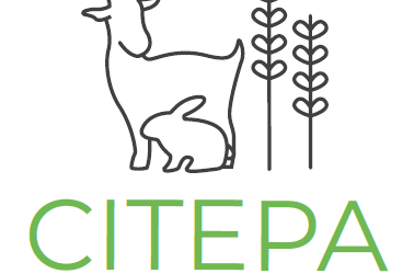 Selección de candidatos para contrato predoctoral FPU: Alimentación del caprino lechero