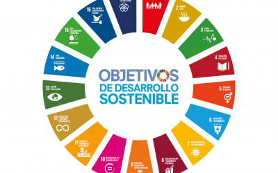 Investigadores del grupo AEAS protagonistas en la jornada en la cámara de comercio de Orihuela sobre el uso eficiente del agua en el regadío en el marco de los ODS