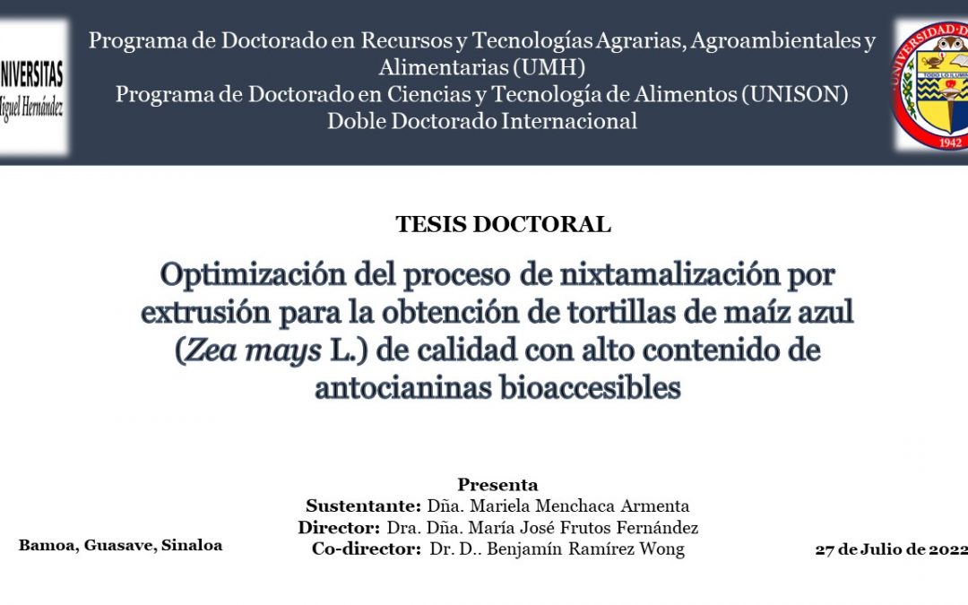 Una tesis doctoral presenta un método alternativo más ecológico para obtener tortillas de maíz azul con alto contenido de compuestos funcionales bioaccesibles