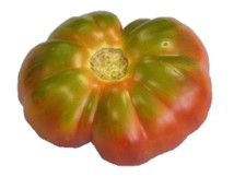 Mejorar lo inmejorable: mejora de variedades tradicionales de tomate