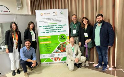 Investigadores del Grupo de Post-Recolección de Frutas y Hortalizas del CIAGRO-UMH son invitados a dar dos conferencias sobre cítricos en Marruecos
