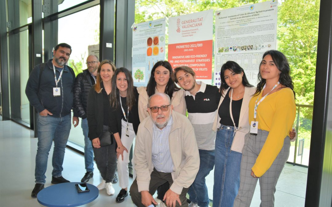 (Español) Investigadores del CIAGRO-UMH participan en el Congreso Internacional de Postcosecha de la Universidad de Wageningen