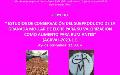 El Grupo de Investigación CITEPA, del CIAGRO-UMH, recibe fondos para la valorización del subproducto de Granada Mollar de Elche como alimento para rumiantes.