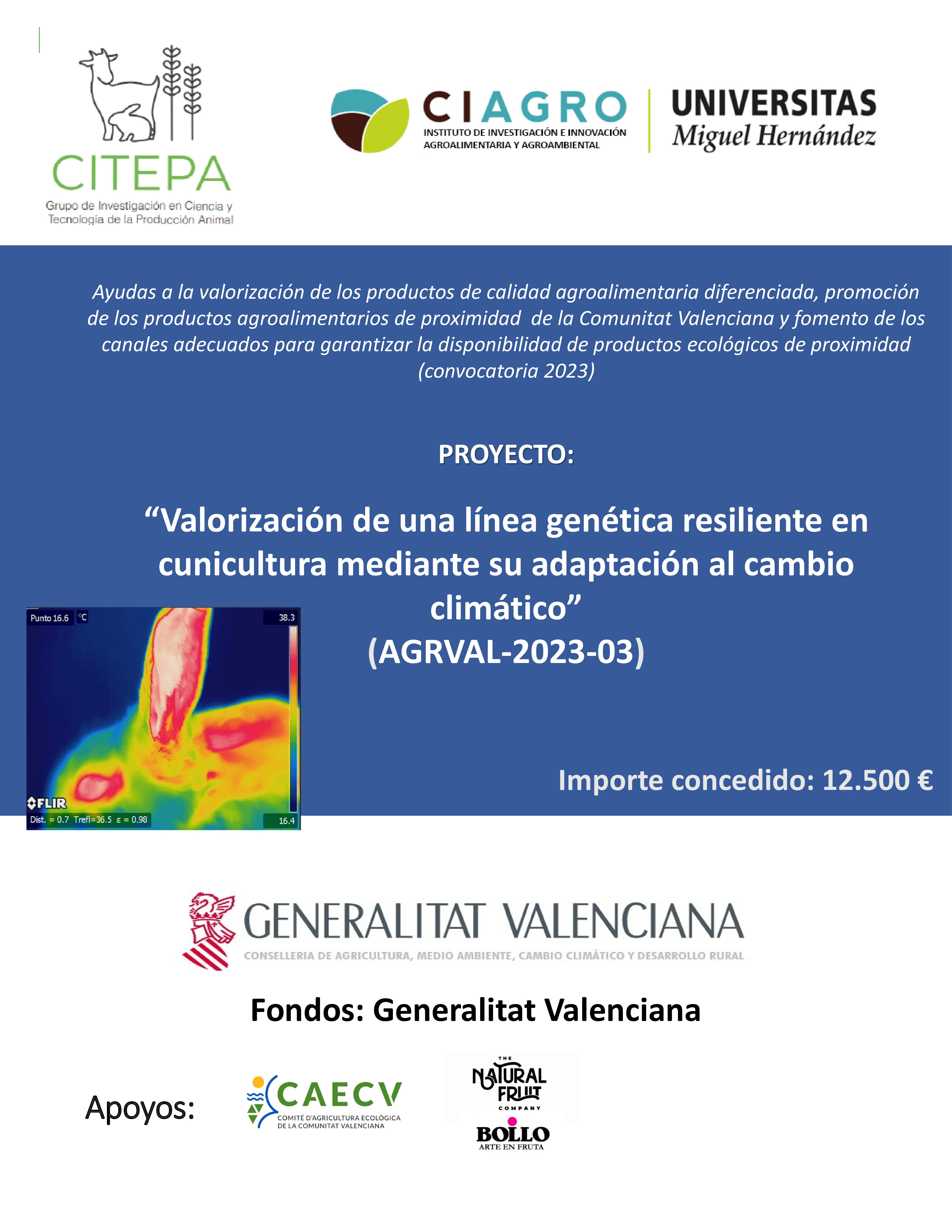 (Español) Valorización de una línea genética resiliente en cunicultura mediante su adaptación al cambio climático
