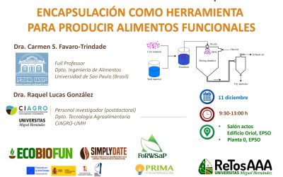 Seminario Retos-AAA: Taller teórico-práctico sobre «La encapsulación como herramienta para producir alimentos funcionales»