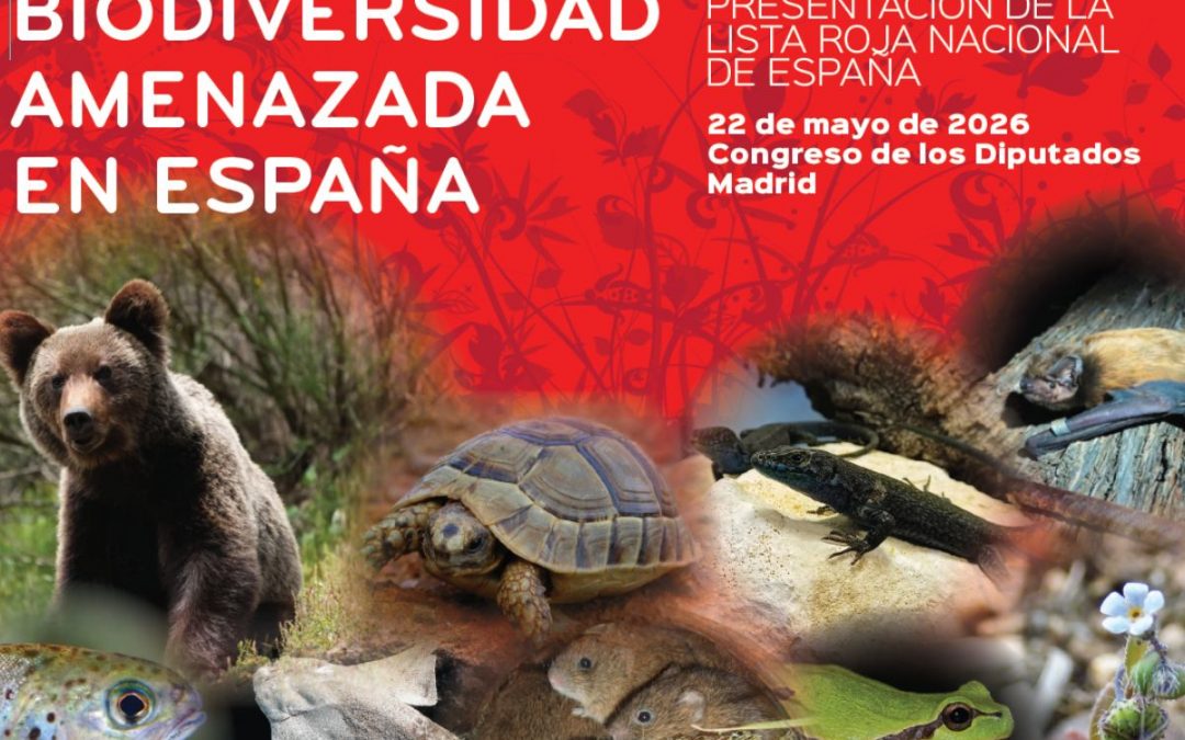 La profesora Eva Graciá participa en el Congreso de los Diputados en la jornada Biodiversidad Amenazada en España