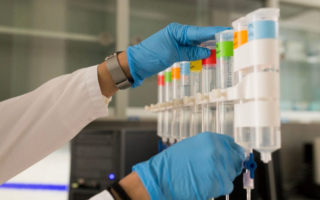 La UMH aconsegueix finançament per a 19 projectes d’investigació científica en la convocatòria estatal Generació de Coneixement
