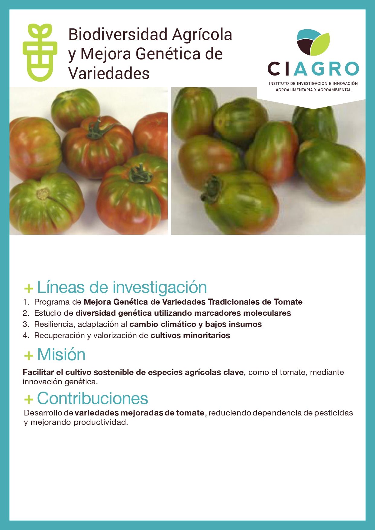 Ficha del grupo de investigación Biodiversidad Agrícola y Mejora Genética (Botánica) (página 1)