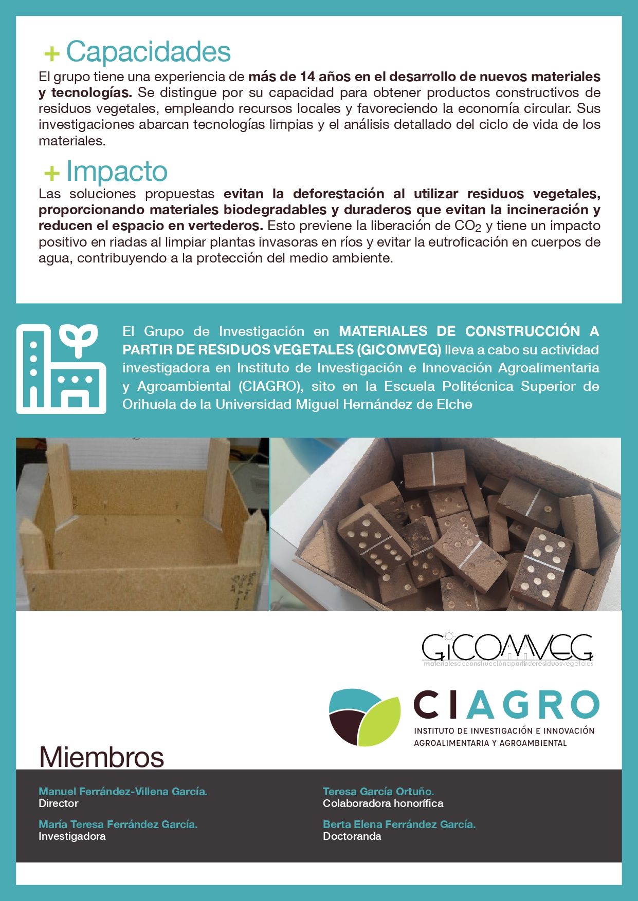 Ficha del grupo de investigación GICOMVEG (página 2)