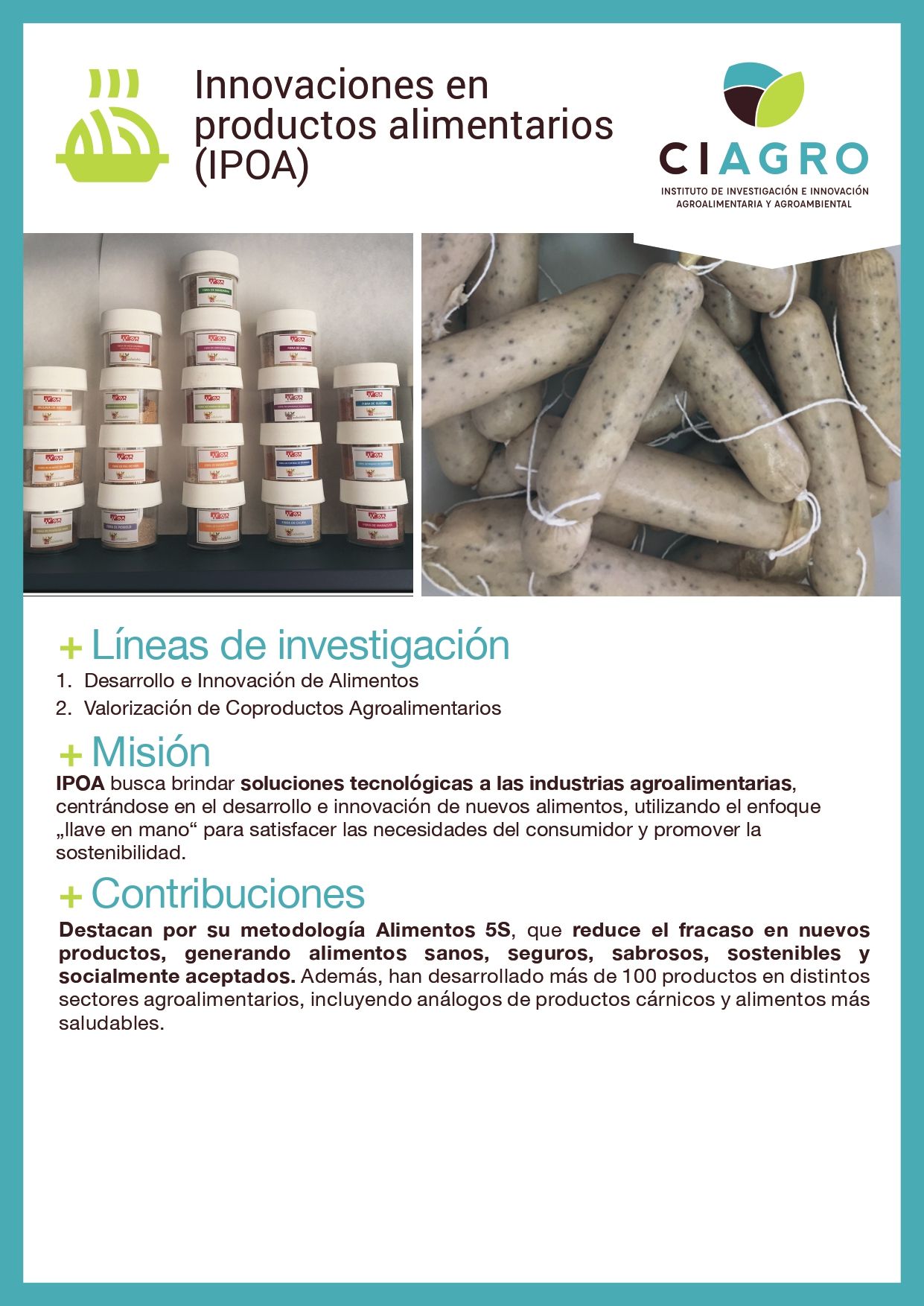Ficha del grupo de investigación Innovaciones en Productos Alimentarios (IPOA) (página 1)
