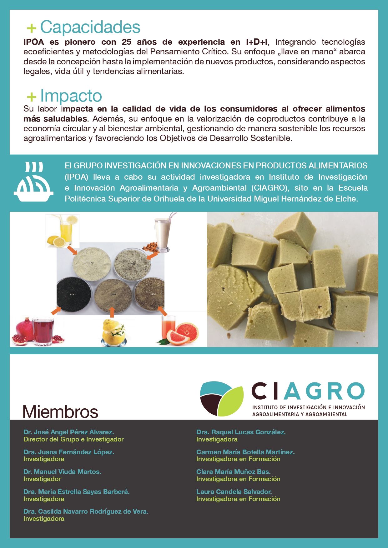 Ficha del grupo de investigación Innovaciones en Productos Alimentarios (IPOA) (página 2)