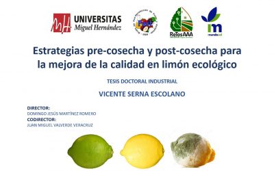 Defensa pública de la Tesis Doctoral de D. Vicente Serna Escolano