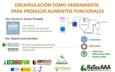 Seminario Retos-AAA: Taller teórico-práctico sobre «La encapsulación como herramienta para producir alimentos funcionales»