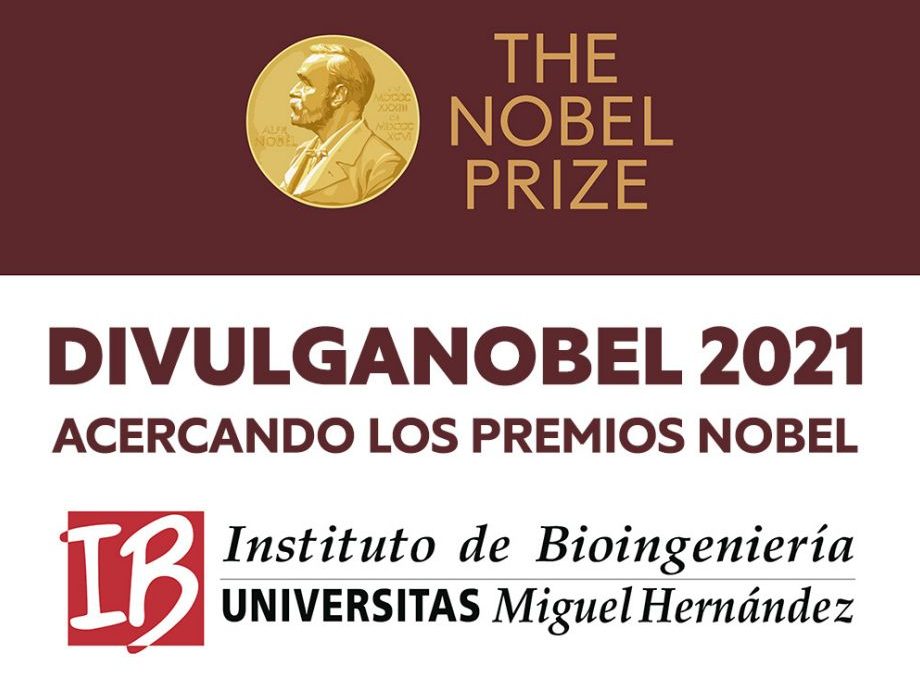 [:es]DIVULGANOBEL 2021[:]