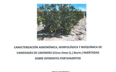 Defensa pública de la Tesis Doctoral de Dña. Marlene Gladys Aguilar Hernández